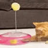cat-playground-toy NCAR Cat present - Playground Toy