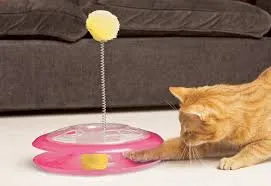 NCAR Cat present - Playground Toy