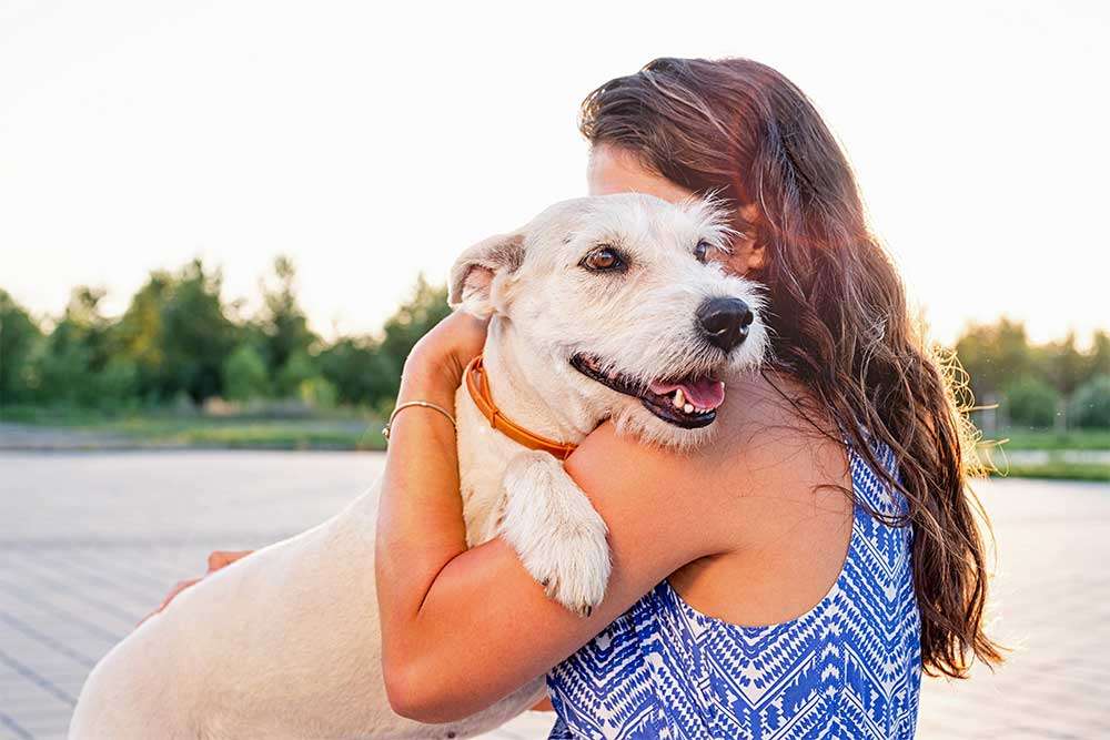 Foster an Animal 1 foster an animal