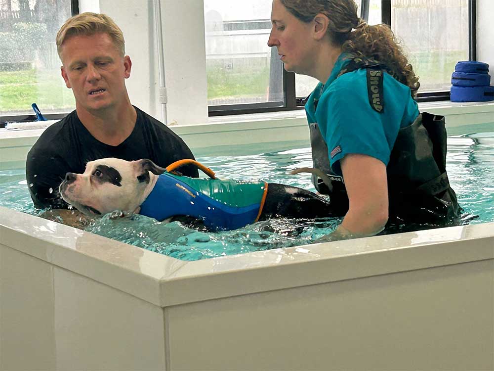 TV Vet Dr. Scott, Our new Patron 9 bobby hydrotherapy