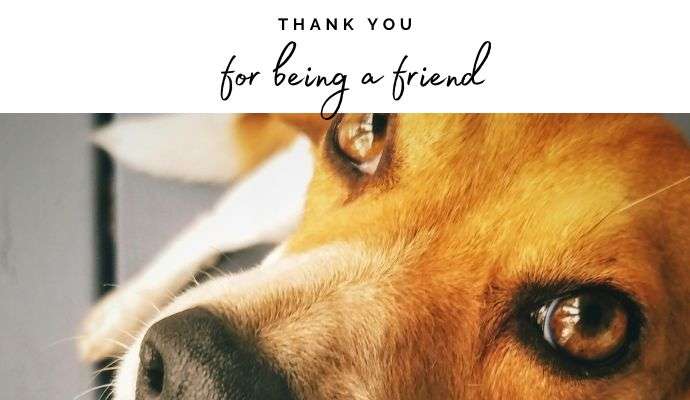 Send an ecard and help NCAR 3 thank you ecard
