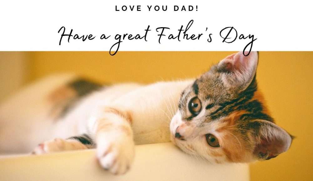 Send an ecard and help NCAR 14 fathers day ecard