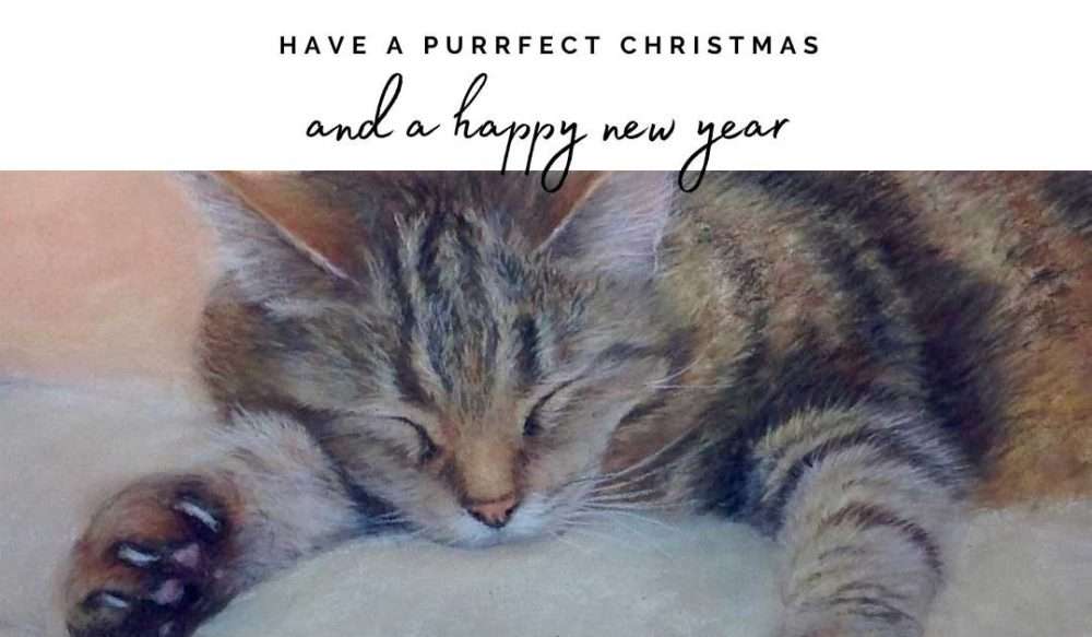 Send an ecard and help NCAR 23 christmas sleepy cat ecard