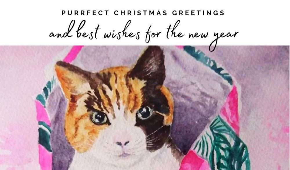 Send an ecard and help NCAR 16 christmas cat ecard
