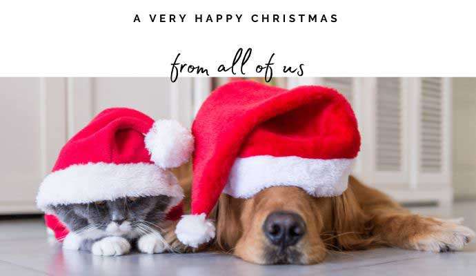 Send an ecard and help NCAR 18 christmas dog and cat ecard