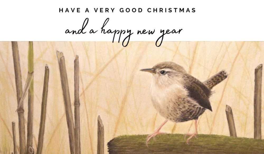 Send an ecard and help NCAR 22 christmas wren ecard