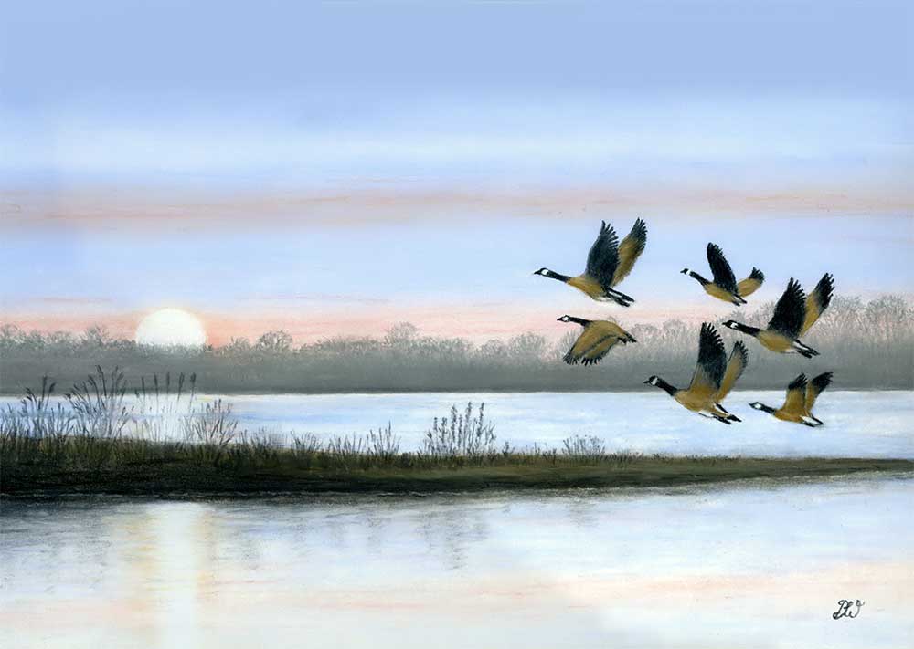 david wildblood wild geese