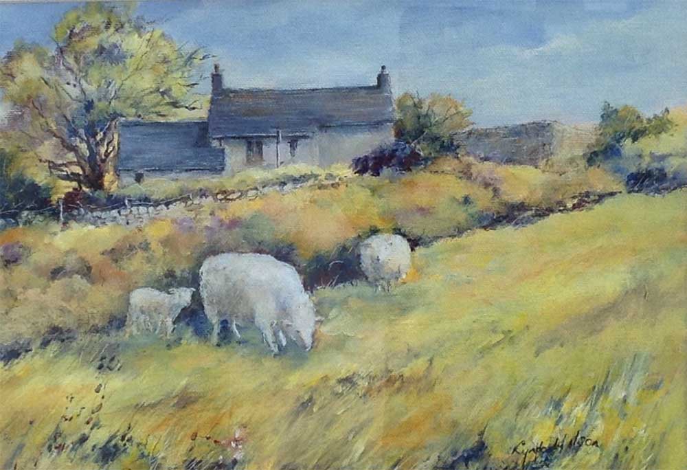 lynda wilson sheep grazing