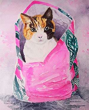 rosie cat