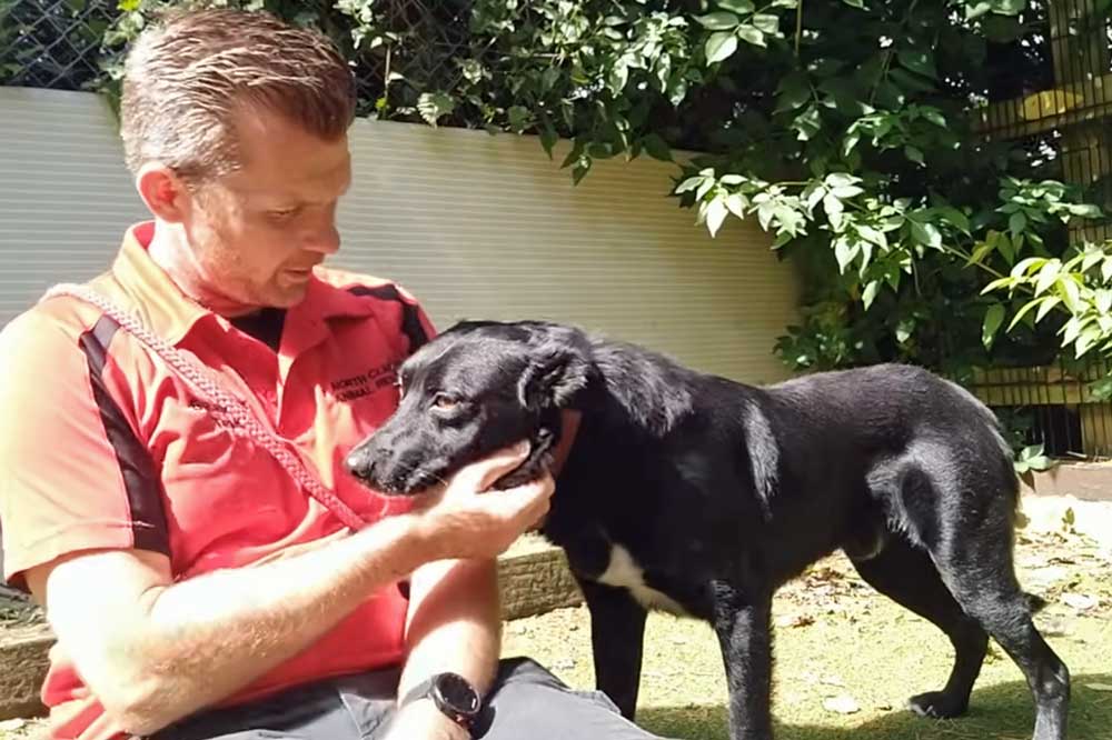 Help Dogs Like Bob Escape Abuse and Fear 3 adam and bobby