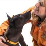 velma with nicky