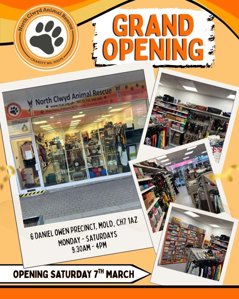 grand opening mold shop