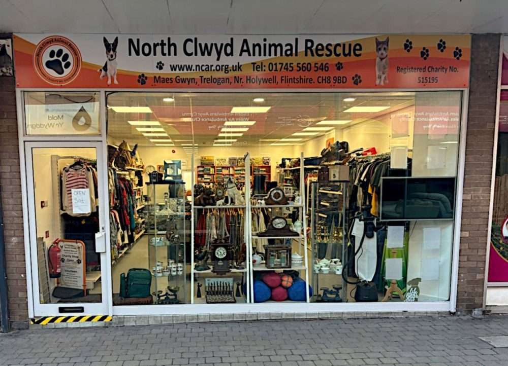 mold charity shop