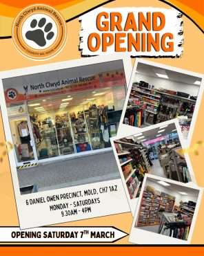 Mold Shop – We have moved 11 mold shop grand opening