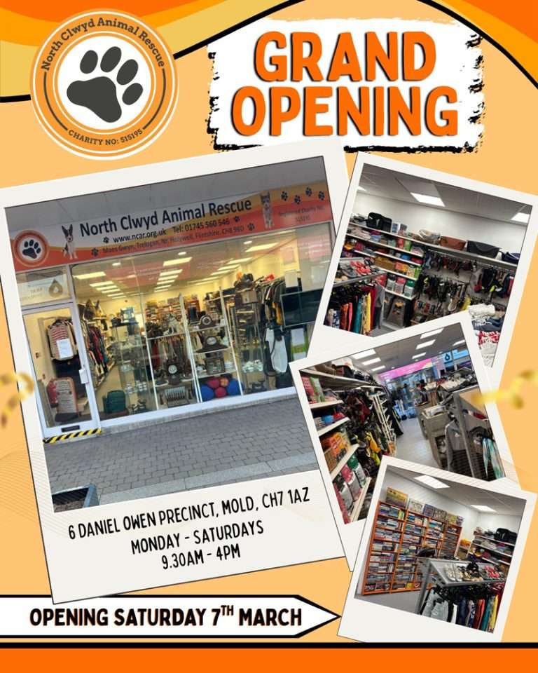mold shop grand opening