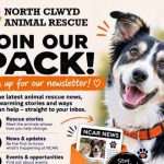 join our pack newsletter