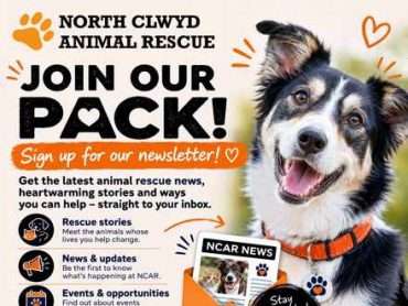 Join Our Pack – Sign Up now! 5 join our pack newsletter