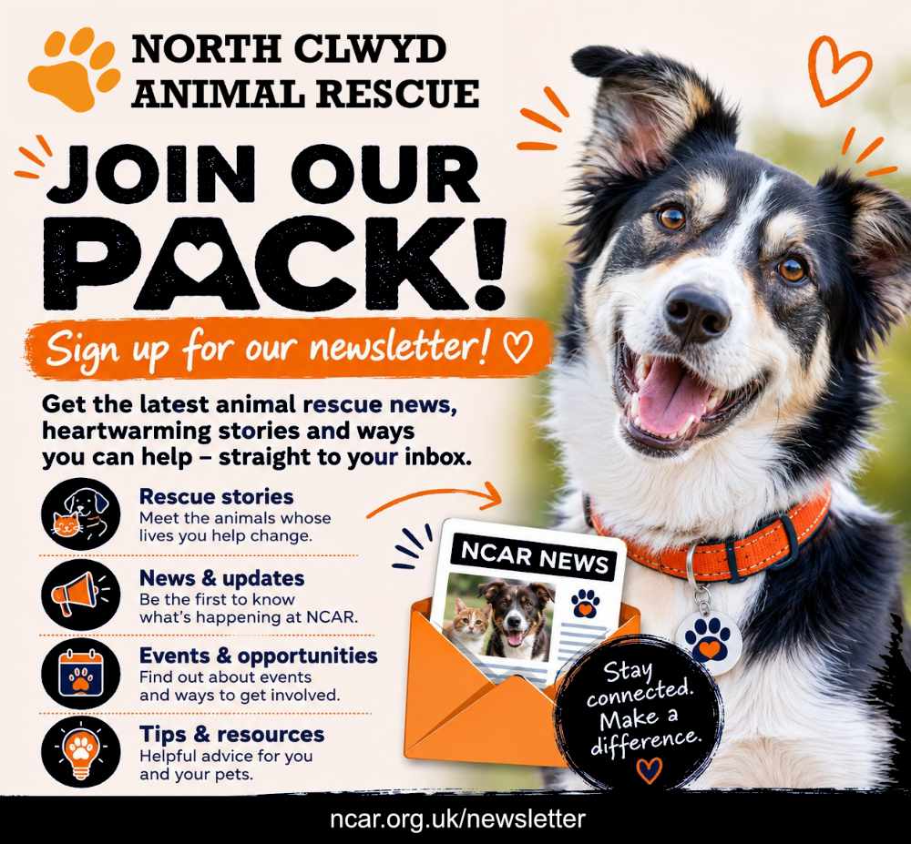 Join Our Pack – Sign Up now! 1 join our pack mailing list