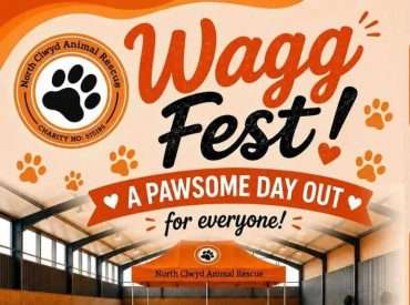 IMPORTANT WAGGFEST UPDATE 3 waggfest 2026
